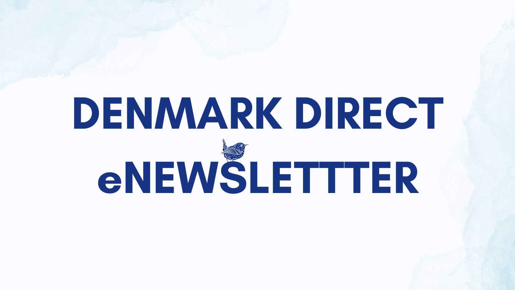 Denmark Direct Community Newsletter Feb 2024